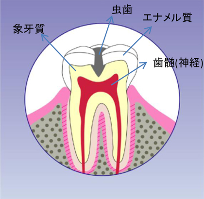 摜͊gł܂B